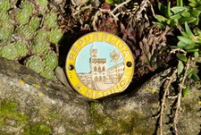 DISTINTIVO RADIATORE AUTO