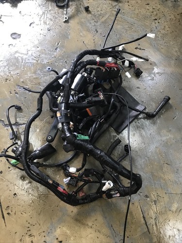 Sv650r cablaggio telaio - cablaggio,