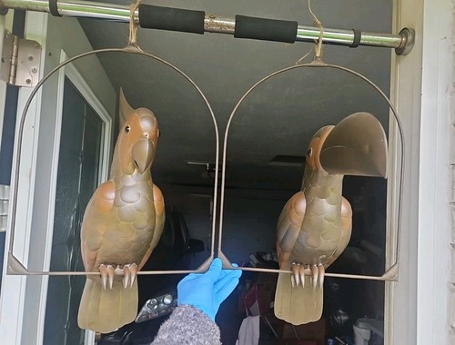 Sculture uccellino tucano - 2,