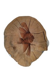 PIROGRAFO SU LEGNO: FOSSILE