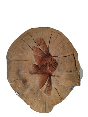 Pirografo legno fossile - legno:,