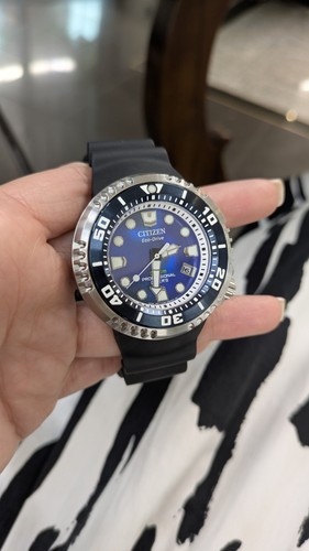 Citizen promaster professional - citizen,