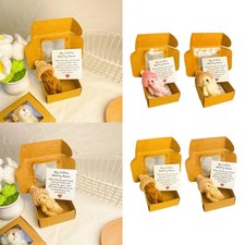 Piccolo orsetto di peluche