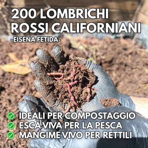200 lombrichi rossi - 200,