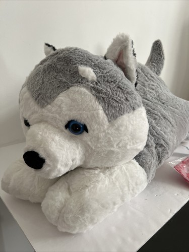 Peluche gigante husky peluche