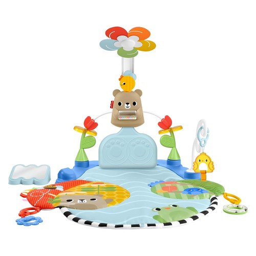 Fisher price palestrina 3in1 - price,