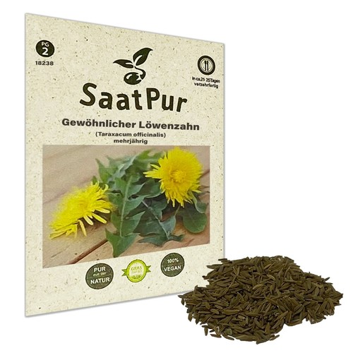Semi tarassaco taraxacum - di,