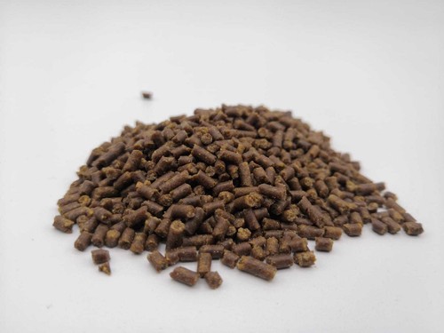 Pellet mangime per caridine - pellet,