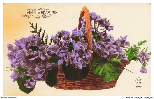 Azwp6 0283 fleurs - azwp6-0283-fleurs, anniversario