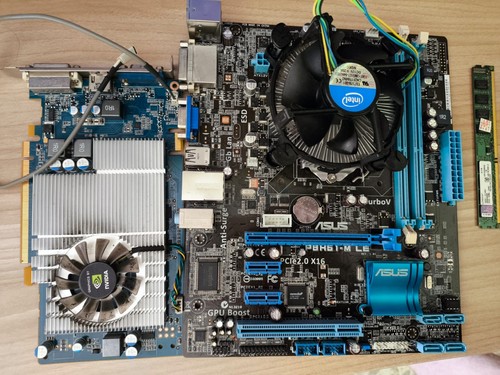 Kit scheda madre - scheda, asus