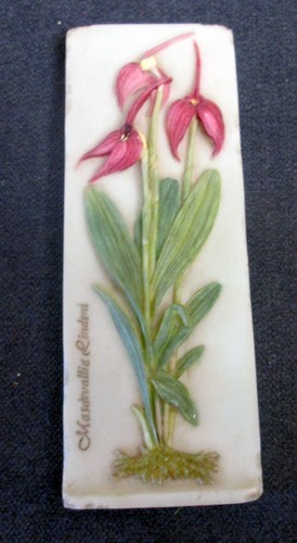Targa parete iris orchid - iris,