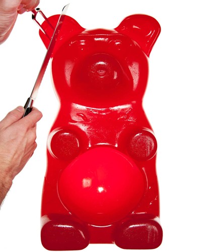 Orso gommoso per - l'orso,