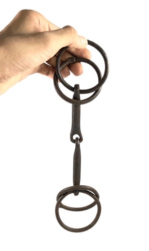 Cavallo punta equitazione - cavallo,