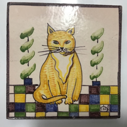 Gato cat rara - gato, cat~rara