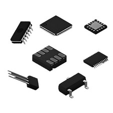 Cinghia Trasmissione Sezione