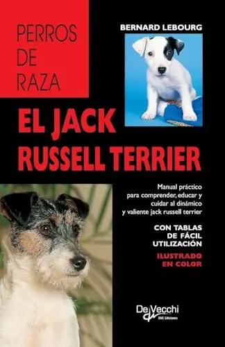 Jack russell terrier - russell,