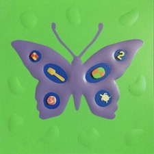 Renzo Nucara Cracking Art “Farfalla” 50x50