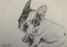 Cartolina da disegno a matita