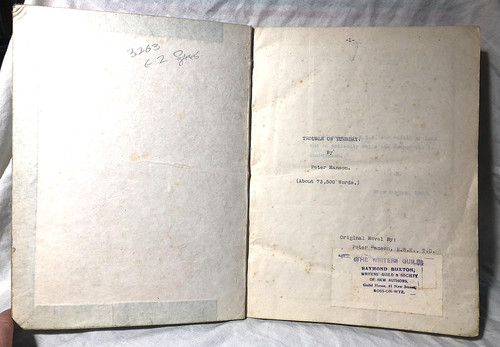 Unpublished novel peter - novel,