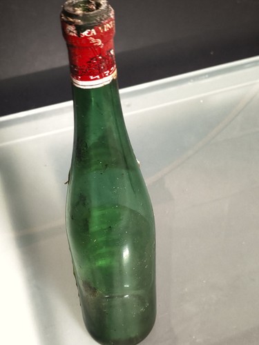 Bottiglia vino vetro vuota - bottiglia,