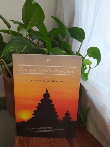 Sentiero della perfezione - il,