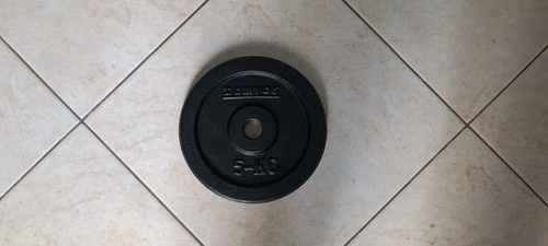 Dischi ghisa per palestra - dischi,