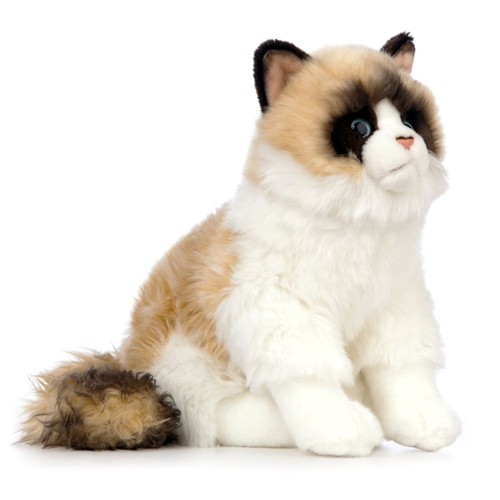Peluche gatto ragdoll - gatto,