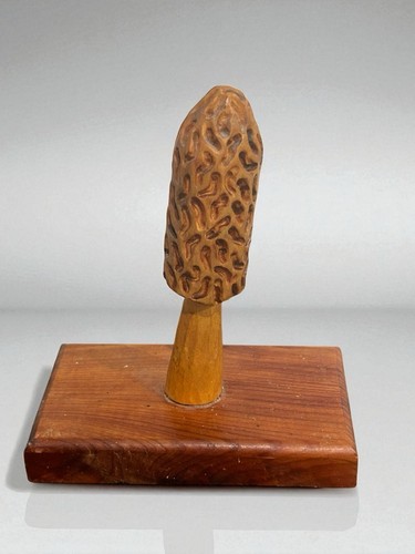 Fungo morel vintage intagliato - fungo,