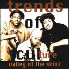 Trends Of Culture: Valley Of