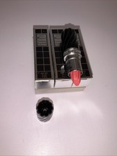 Rossetto Principessa Marcella