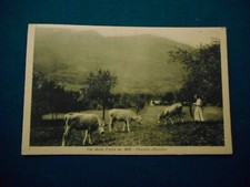 CARTOLINA Vintage B/N VALLE