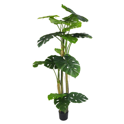Pianta artificiale filodendro - artificiale,