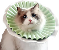 - Collare Elisabettiano