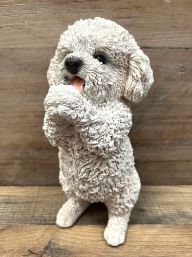 Statuina resina cane bichon - cane,