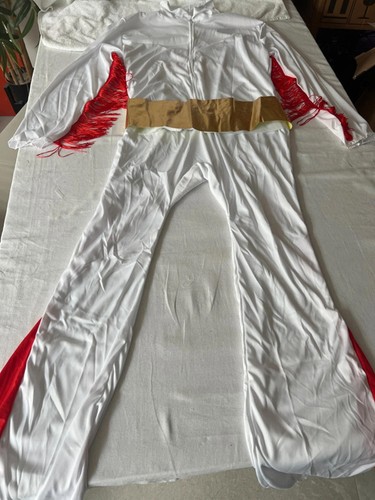 Costume vestito fantasia tuta