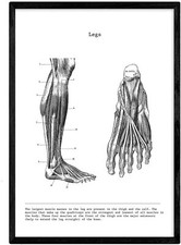 Poster stampa artistica