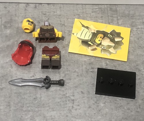 Lego fierce barbarian - lego,