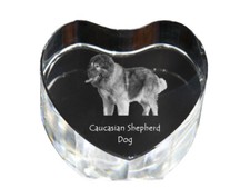 Cane da pastore del Caucaso