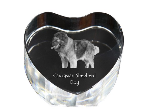 Cane pastore del - cane,