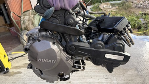 Motore ducati testastretta dvt - motore,