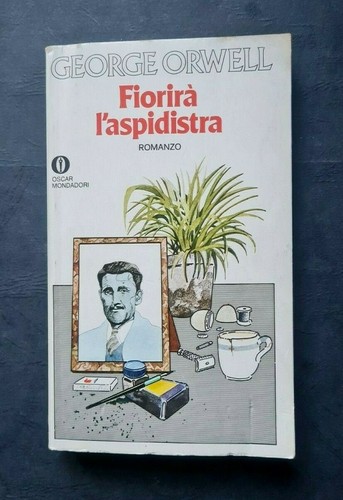 Fiorirà aspidistra george - fiorirÀ,
