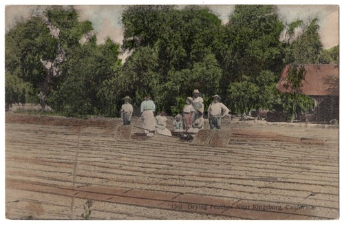 1909 kingsburg california - kingsburg,,