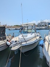 Barca Trophy Motore Yamaha 200 cavalli, 7 metri, ottime condizioni