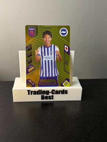 Panini wsl women super - panini,