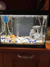 acquario newa completo di