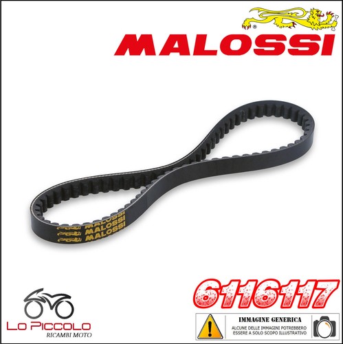 6116117 cinghia belt - 6116117, x