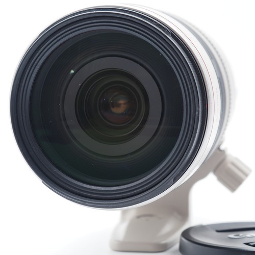 Canon 300 5 6l - 28-300, is