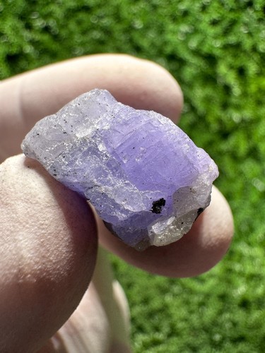 Cristallo tanzanite con - tanzanite,