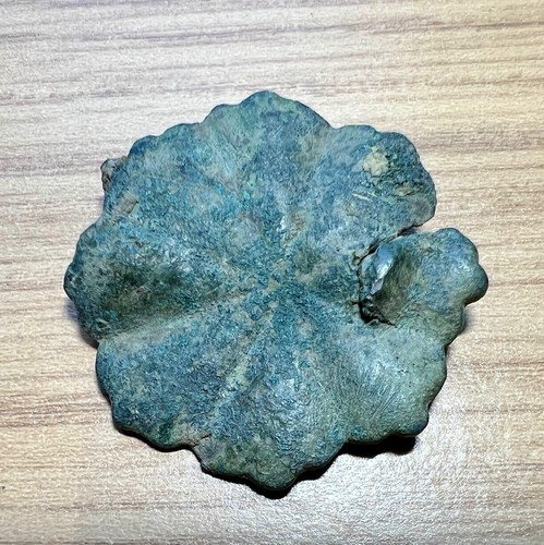 Decorazione imbracatura