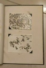 ANTICO ALBUM CON 29 FOTO